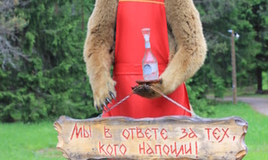 Тур «В Карелию на самолете из Москвы 5: Рускеала, водопады и лучшие виды Петрозаводска» Первый день #9