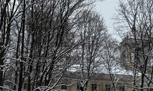 Тур «2 в 1: Выборг, Рускеала и викинги» Первый день #8